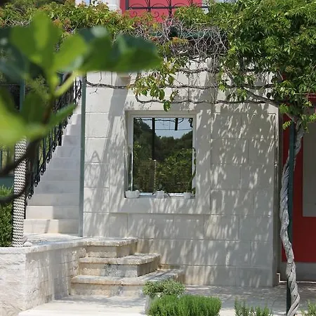 Volicija