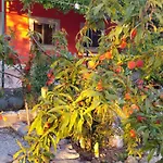 Volicija * Makarska