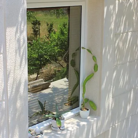 Volicija * Makarska