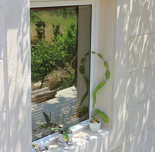 Volicija * Makarska